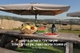 מדשאה