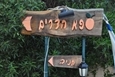 כניסה