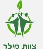 צוות מילר
