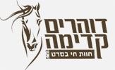 דוהרים קדימה