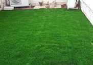 דשא סינטטי לגינה