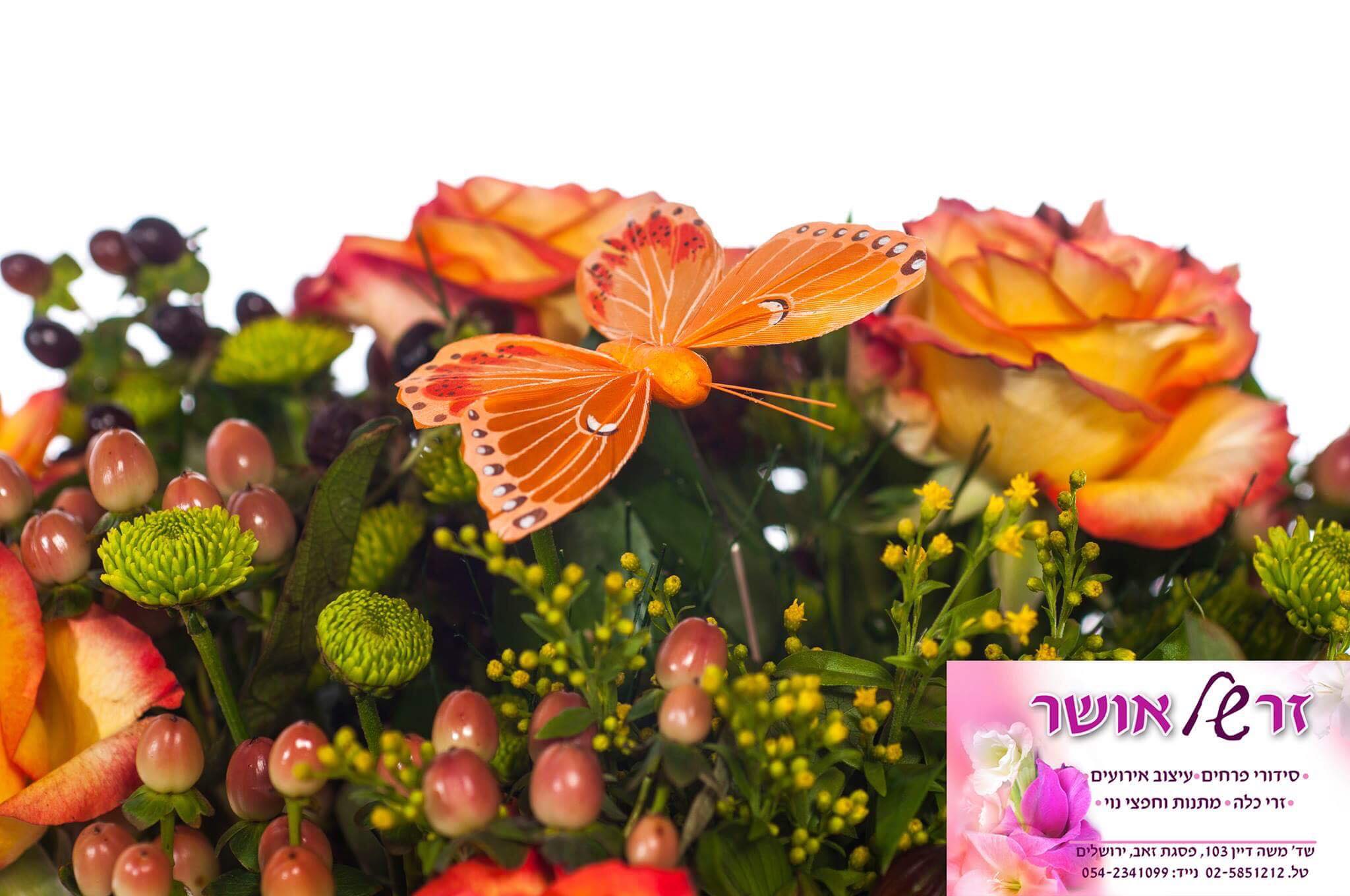 חנות פרחים פסגת זאב