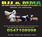 חוג פסגת זאב