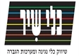 כלי שיר