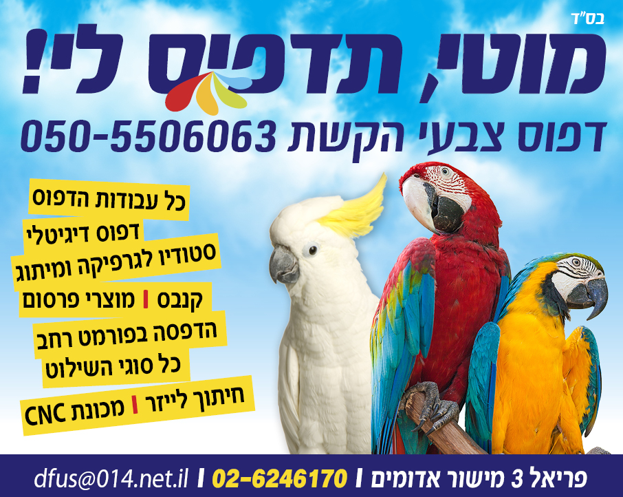 דפוס צבעי הקשת