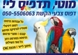 דפוס צבעי הקשת