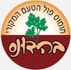 חומוס בהדונס