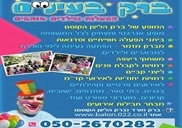 ברק הליצן