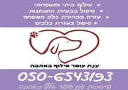 אילוף כלבים במעלה אדומים