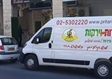 פרי טרי