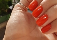 נורית צרפתי