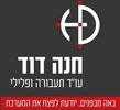 חנה דוד