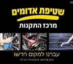 שטיפת אדומים