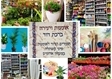 ברכת דוד