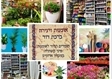 ברכת דוד