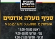 הקצבים