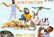 הפעלות חיות במעלה אדומים