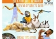 הפעלות חיות במעלה אדומים