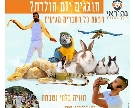 הפעלות חיות במעלה אדומים
