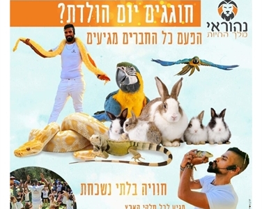 נהוראי
