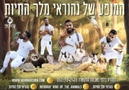 נהוראי מלך החיות