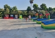 נהוראי מלך החיות