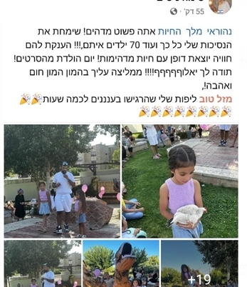 הפעלת חיות מומלצת