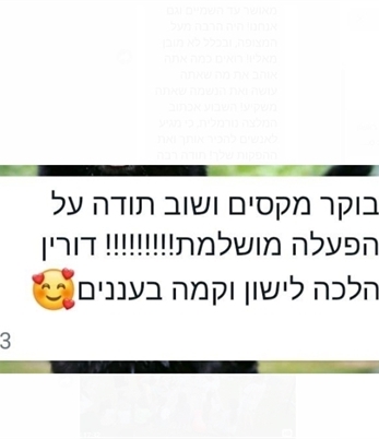 הפעלת חיות מומלצת