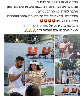 הפעלת חיות מומלצת